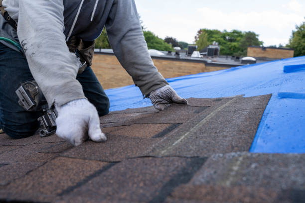 Best Roof Repair Services  in Brogden, NC