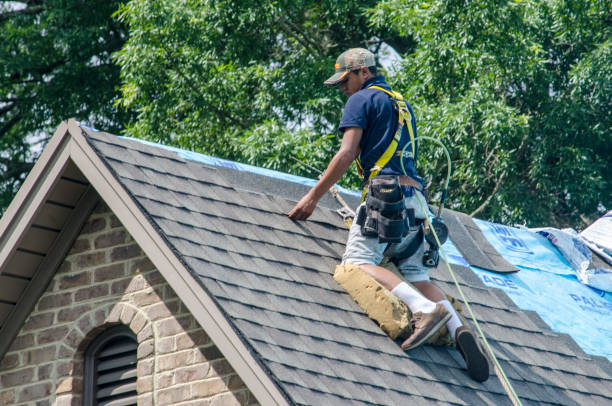 Best Roof Waterproofing Services  in Brogden, NC